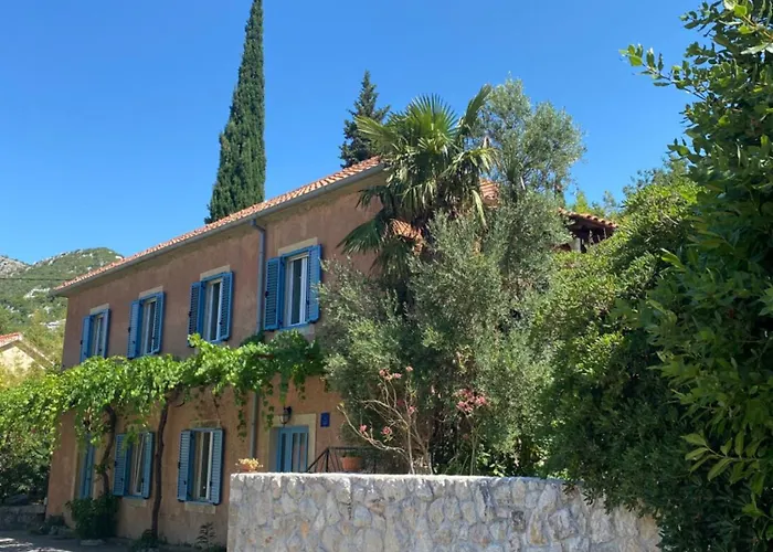 Mara فيلة Dubravka